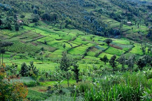 Photo Burundi