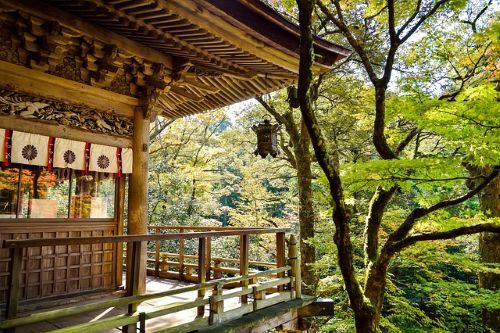 Photo Japon